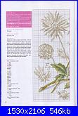DFEA HS28 - études de botanique *-18-jpg