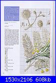 DFEA HS28 - études de botanique *-42-jpg