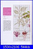 DFEA HS28 - études de botanique *-45-jpg
