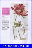 DFEA HS28 - études de botanique *-48-jpg