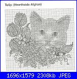 Zweigart J002 Cats & Kittens *-scansione0011-jpg