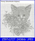 Zweigart J002 Cats & Kittens *-scansione0019-jpg