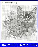 Zweigart J002 Cats & Kittens *-scansione0024-jpg