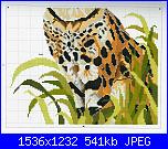 Cats of the world in cross stitch *-cats-world-024-jpg