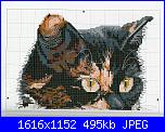 Cats of the world in cross stitch *-cats-world-045-jpg