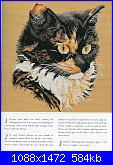 Cats of the world in cross stitch *-cats-world-044-jpg