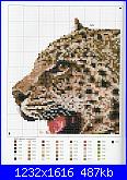 Cats of the world in cross stitch *-cats-world-049-jpg