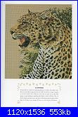 Cats of the world in cross stitch *-cats-world-048-jpg