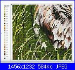 Cats of the world in cross stitch *-cats-world-057-jpg