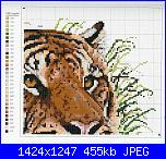 Cats of the world in cross stitch *-cats-world-056-jpg