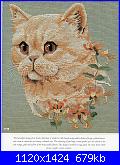 Cats of the world in cross stitch *-cats-world-065-jpg