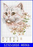 Cats of the world in cross stitch *-cats-world-063-jpg
