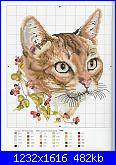 Cats of the world in cross stitch *-cats-world-068-jpg