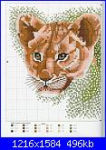 Cats of the world in cross stitch *-cats-world-074-jpg