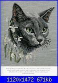 Cats of the world in cross stitch *-cats-world-071-jpg