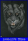 Cats of the world in cross stitch *-cats-world-087-jpg
