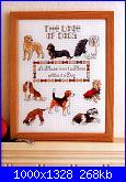 Picture Your Pet in Cross Stitch - Claire Crompton *-1-6-jpg