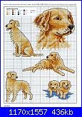 Picture Your Pet in Cross Stitch - Claire Crompton *-1-11-jpg