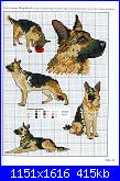 Picture Your Pet in Cross Stitch - Claire Crompton *-1-10-jpg