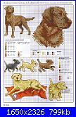 Picture Your Pet in Cross Stitch - Claire Crompton *-1-9-jpg