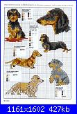 Picture Your Pet in Cross Stitch - Claire Crompton *-1-15-jpg