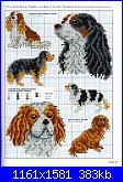 Picture Your Pet in Cross Stitch - Claire Crompton *-1-14-jpg