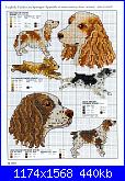 Picture Your Pet in Cross Stitch - Claire Crompton *-1-13-jpg