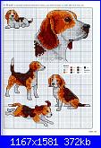 Picture Your Pet in Cross Stitch - Claire Crompton *-1-12-jpg