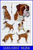 Picture Your Pet in Cross Stitch - Claire Crompton *-1-19-jpg