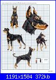 Picture Your Pet in Cross Stitch - Claire Crompton *-1-26-jpg