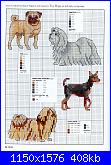 Picture Your Pet in Cross Stitch - Claire Crompton *-1-31-jpg
