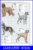 Picture Your Pet in Cross Stitch - Claire Crompton *-1-30-jpg