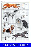 Picture Your Pet in Cross Stitch - Claire Crompton *-1-29-jpg