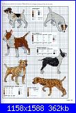 Picture Your Pet in Cross Stitch - Claire Crompton *-1-32-jpg