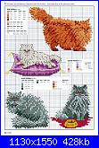 Picture Your Pet in Cross Stitch - Claire Crompton *-1-45-jpg