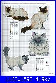 Picture Your Pet in Cross Stitch - Claire Crompton *-1-50-jpg