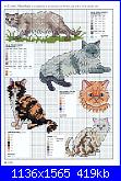 Picture Your Pet in Cross Stitch - Claire Crompton *-1-49-jpg