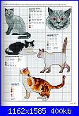 Picture Your Pet in Cross Stitch - Claire Crompton *-1-54-jpg