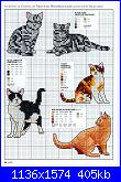 Picture Your Pet in Cross Stitch - Claire Crompton *-1-53-jpg