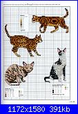 Picture Your Pet in Cross Stitch - Claire Crompton *-1-52-jpg