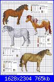 Picture Your Pet in Cross Stitch - Claire Crompton *-1-91-jpg