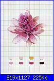 Mango Pratique - Flower Variations *-6-jpg