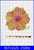 Mango Pratique - Flower Variations *-12-jpg