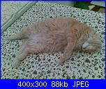 mi presento: mi chiamo Birba-vita-da-pasci%C3%A0-jpg