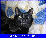 questo è il primo-varie-004-jpg