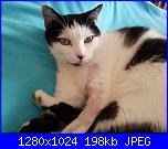 La mia piccola tribù!-stich2-jpg