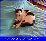 La mia piccola tribù!-stich-jpg