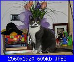 questo è il primo-pic_0010-jpg