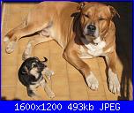 il gigante e la bambina-img_1303-jpg