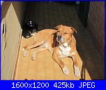 il gigante e la bambina-img_1305-jpg